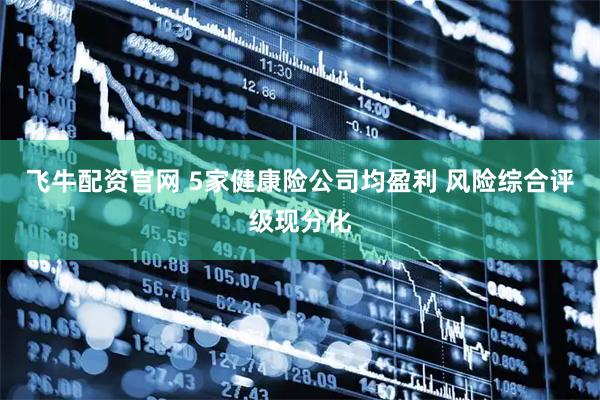 飞牛配资官网 5家健康险公司均盈利 风险综合评级现分化