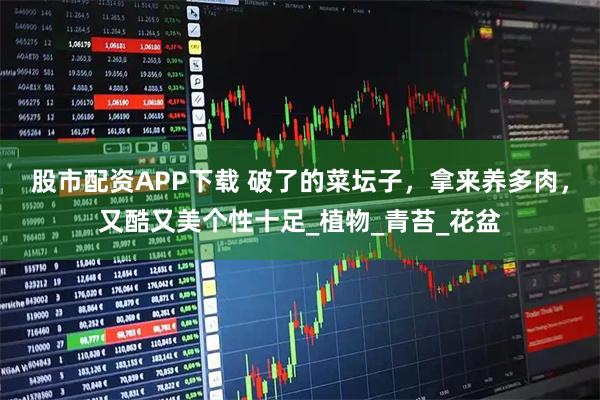 股市配资APP下载 破了的菜坛子，拿来养多肉，又酷又美个性十足_植物_青苔_花盆