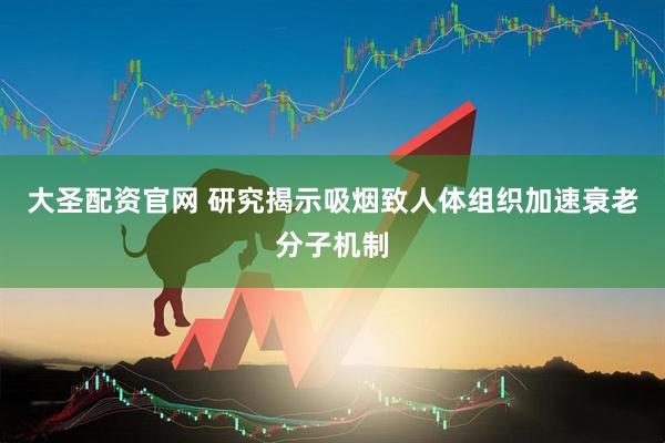 大圣配资官网 研究揭示吸烟致人体组织加速衰老分子机制