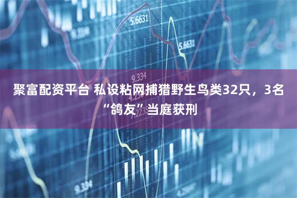 聚富配资平台 私设粘网捕猎野生鸟类32只，3名“鸽友”当庭获刑